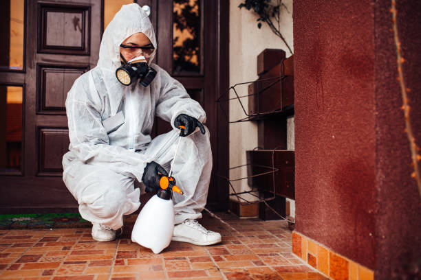 Reliable Bed Bug Control contractor in Lake Holiday, VA by Nex Pest Control