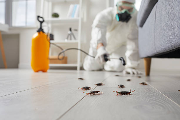 Trusted Cockroach Control service in Lake Holiday, VA - Nex Pest Control