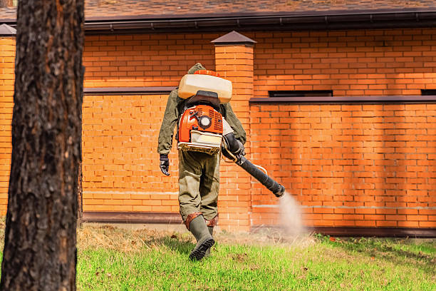 Trusted Ant Control service in Lake Holiday, VA - Nex Pest Control